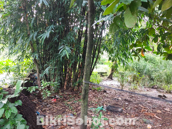 জমি বিক্রয় করা হইবে